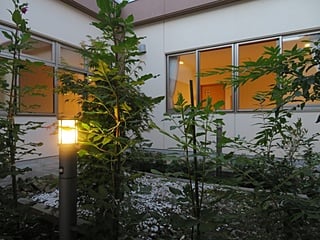 中庭